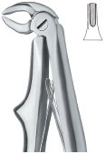 tooth ext forceps ai 02 51 95