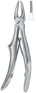 tooth ext forceps ai 02 51 96
