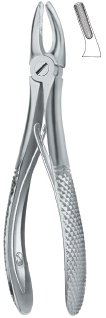 tooth ext forceps ai 02 51 97