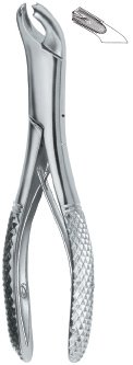 tooth ext forceps ai 02 51 99