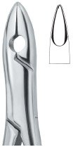 tooth ext forceps amr ai 02 53 01