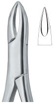 tooth ext forceps amr ai 02 53 02