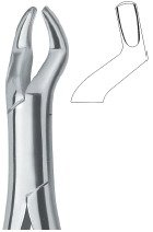 tooth ext forceps amr ai 02 53 03