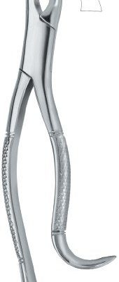tooth ext forceps amr ai 02 53 04