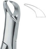 tooth ext forceps amr ai 02 53 05