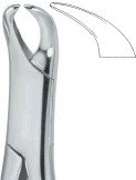 tooth ext forceps amr ai 02 53 06