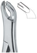 tooth ext forceps amr ai 02 53 07