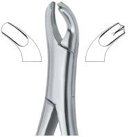 tooth ext forceps amr ai 02 53 08