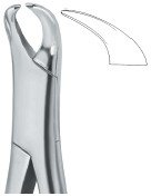 tooth ext forceps amr ai 02 53 10