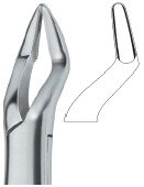 tooth ext forceps amr ai 02 53 11