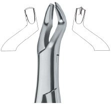 tooth ext forceps amr ai 02 53 13