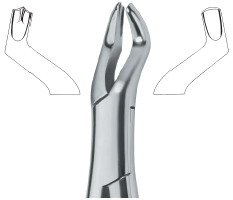 tooth ext forceps amr ai 02 53 14