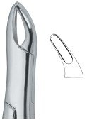 tooth ext forceps amr ai 02 53 15