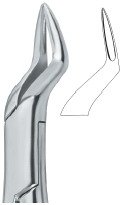 tooth ext forceps amr ai 02 53 16