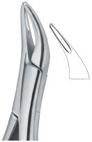 tooth ext forceps amr ai 02 53 17