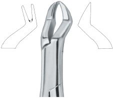 tooth ext forceps amr ai 02 53 18