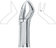 tooth ext forceps amr ai 02 53 19