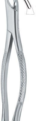 tooth ext forceps amr ai 02 53 20