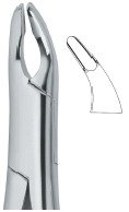 tooth ext forceps amr ai 02 53 21