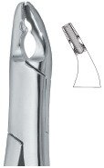 tooth ext forceps amr ai 02 53 22