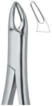 tooth ext forceps amr ai 02 53 24