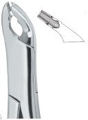 tooth ext forceps amr ai 02 53 27
