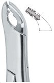 tooth ext forceps amr ai 02 53 28