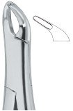 tooth ext forceps amr ai 02 53 29
