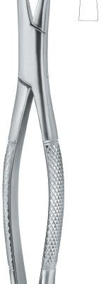 tooth ext forceps amr ai 02 53 30