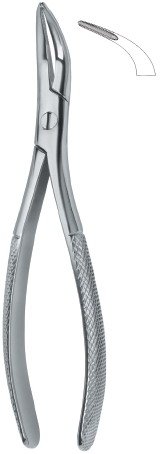 tooth ext forceps amr ai 02 53 31 tooth ext forceps amr ai 02 53 31