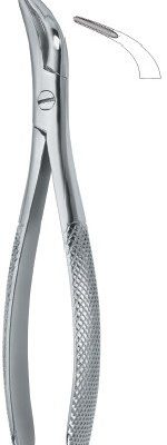 tooth ext forceps amr ai 02 53 32