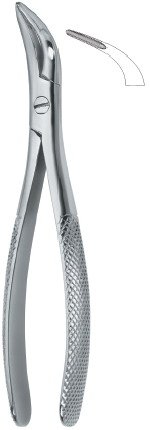 tooth ext forceps amr ai 02 53 32 tooth ext forceps amr ai 02 53 32