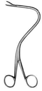 urology ms 36131