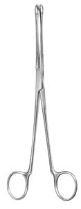 urology ms 36141