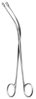 urology ms 36156