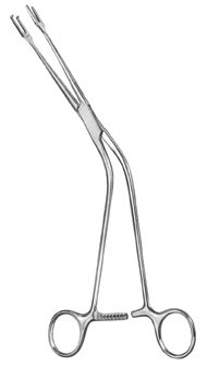 urology ms 36216