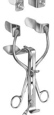 urology ms 36236
